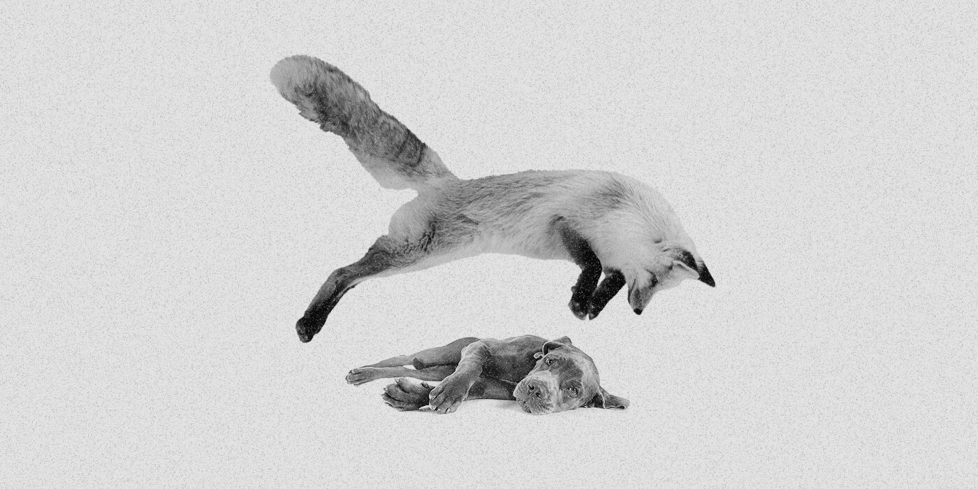 A visual representation of the famous Pangram “The Quick Brown Fox Jumps Over The Lazy Dog” Where fox jumps playfully over a resting dog against a plain white background. The fox is mid-air, its tail and paws extended, while the dog lies calmly.