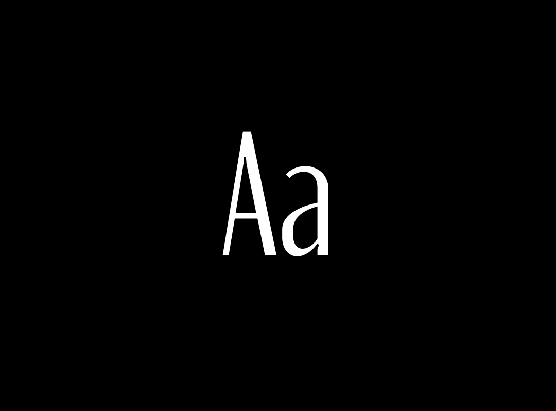 A graphic display of the letters Aa in the MONIQA typeface.