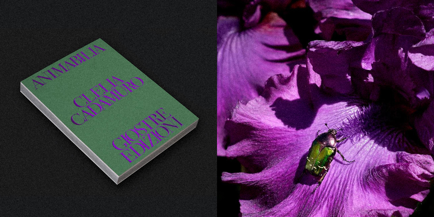 Green "Animabilia" book cover by Clelia Cadamuro next to a macro photo of a green beetle on a purple iris flower.